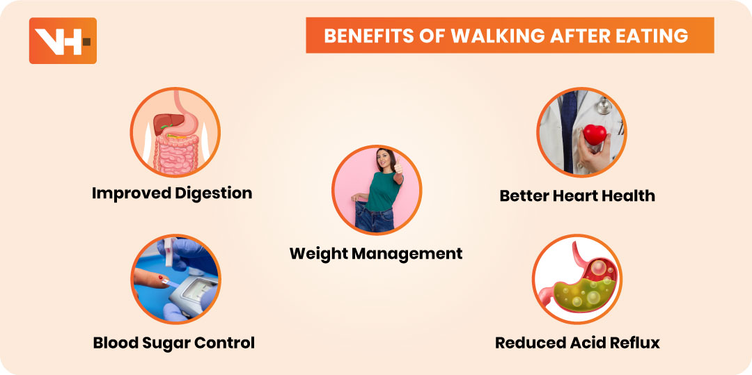 Walking After Eating